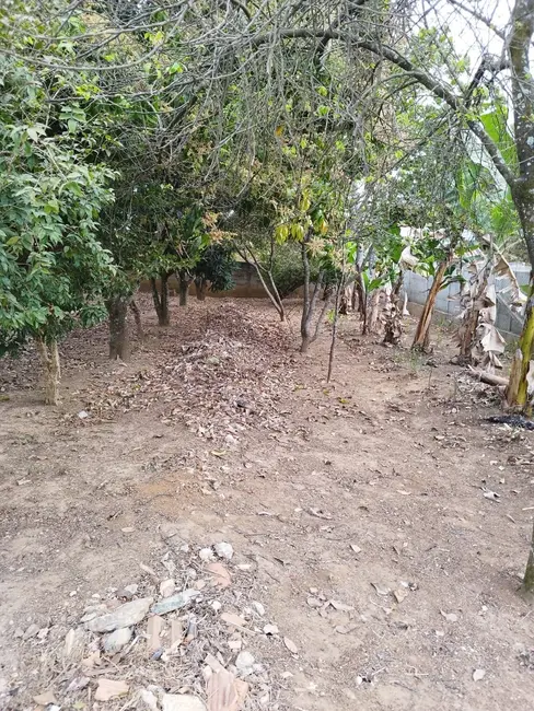 Foto 3 de Chácara com 1 quarto à venda em Goiabal, Pindamonhangaba - SP