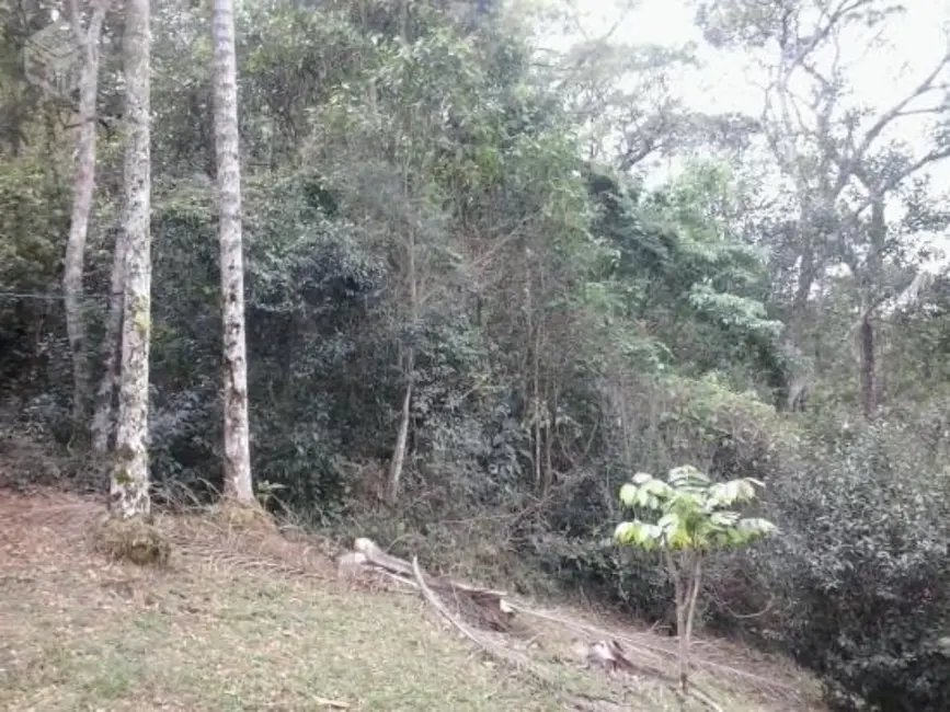 Foto 5 de Sítio / Rancho com 4 quartos à venda, 350m2 em Santo Antonio Do Pinhal - SP