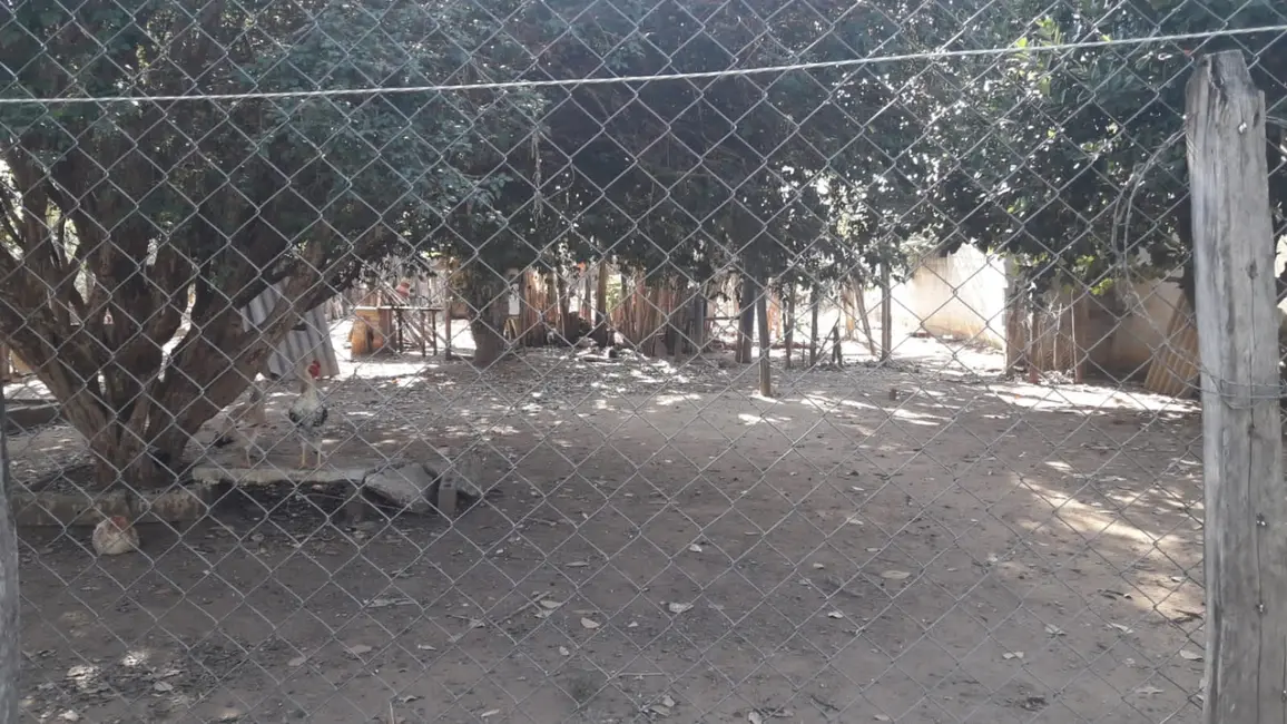 Foto 9 de Chácara com 4 quartos à venda, 2000m2 em Goiabal, Pindamonhangaba - SP