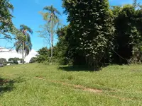 Imagem 3