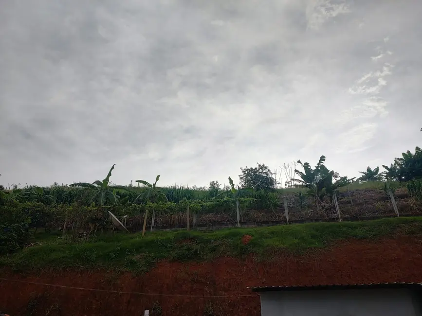 Foto 4 de Chácara com 1 quarto à venda, 3000m2 em Chácara São Félix, Taubate - SP