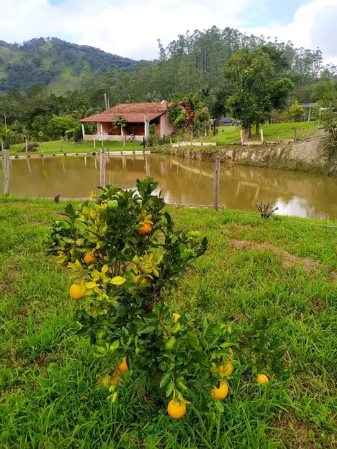 Foto 6 de Sítio / Rancho com 3 quartos à venda, 31574m2 em Centro, Monteiro Lobato - SP