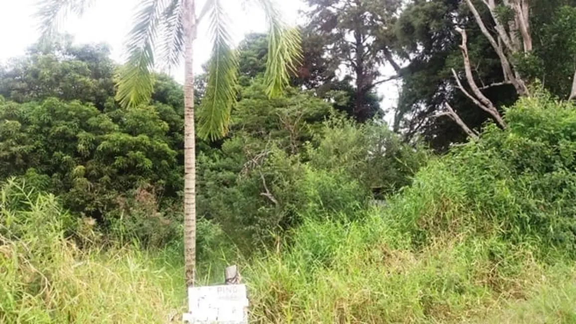 Foto 4 de Chácara à venda, 5200m2 em Cidade Nova, Pindamonhangaba - SP