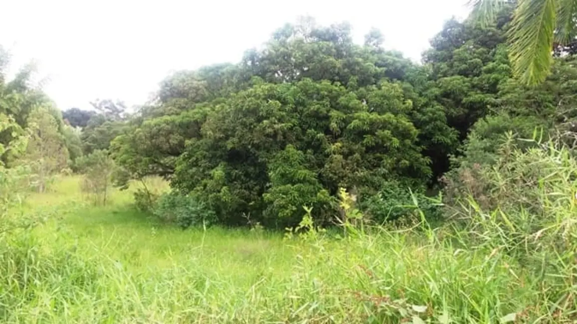 Foto 3 de Chácara à venda, 5200m2 em Cidade Nova, Pindamonhangaba - SP