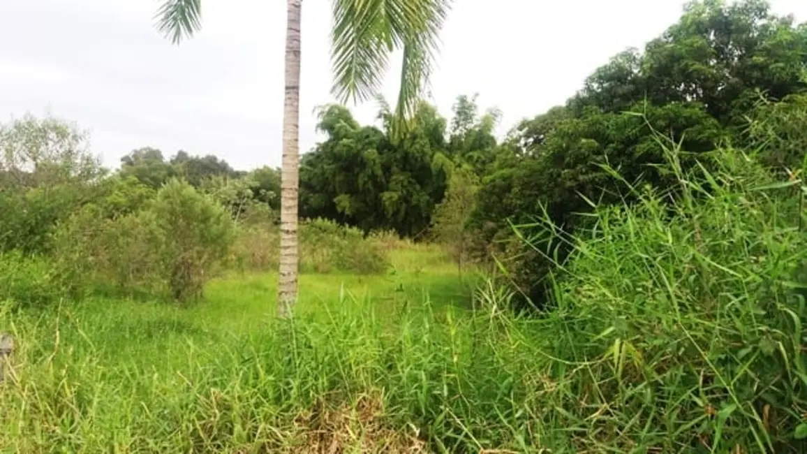 Foto 2 de Chácara à venda, 5200m2 em Cidade Nova, Pindamonhangaba - SP