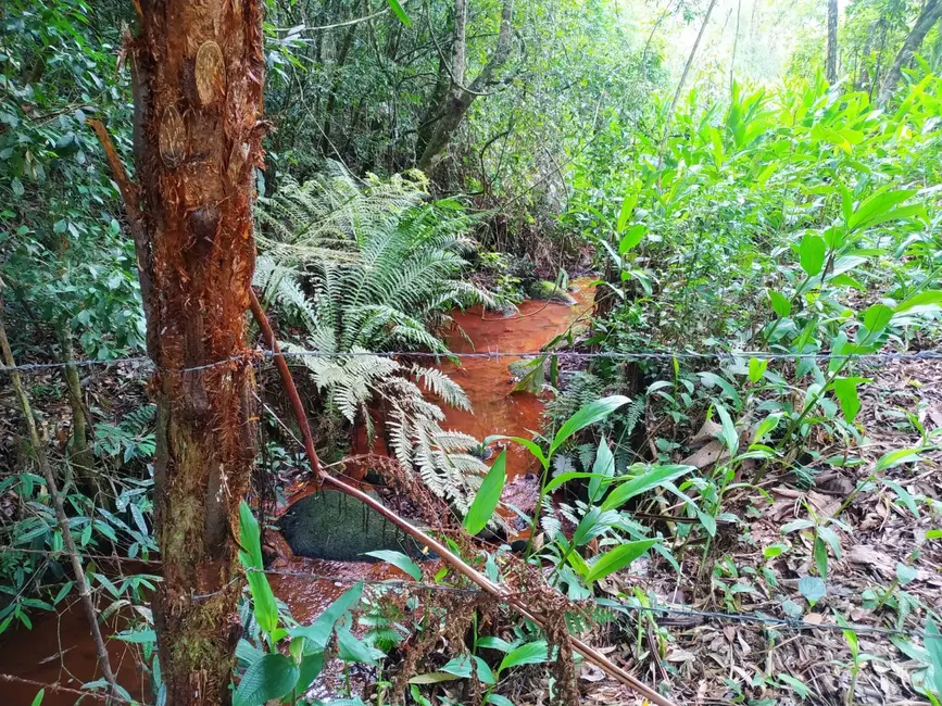 Chácara à venda, 1700000m2 em Centro, Sao Luiz Do Paraitinga - SP - imagem 7 Foto 7 de Chácara à venda, 1700000m2 em Centro, Sao Luiz Do Paraitinga - SP