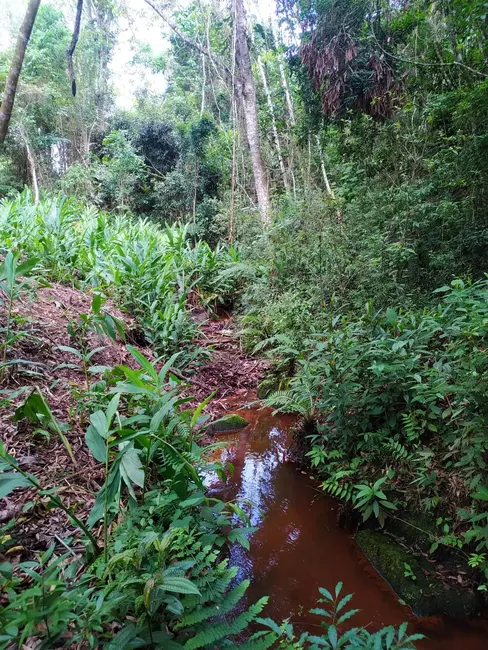 Chácara à venda, 1700000m2 em Centro, Sao Luiz Do Paraitinga - SP - imagem 8 Foto 8 de Chácara à venda, 1700000m2 em Centro, Sao Luiz Do Paraitinga - SP