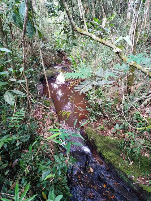 Foto 1 de Chácara à venda, 1700000m2 em Centro, Sao Luiz Do Paraitinga - SP