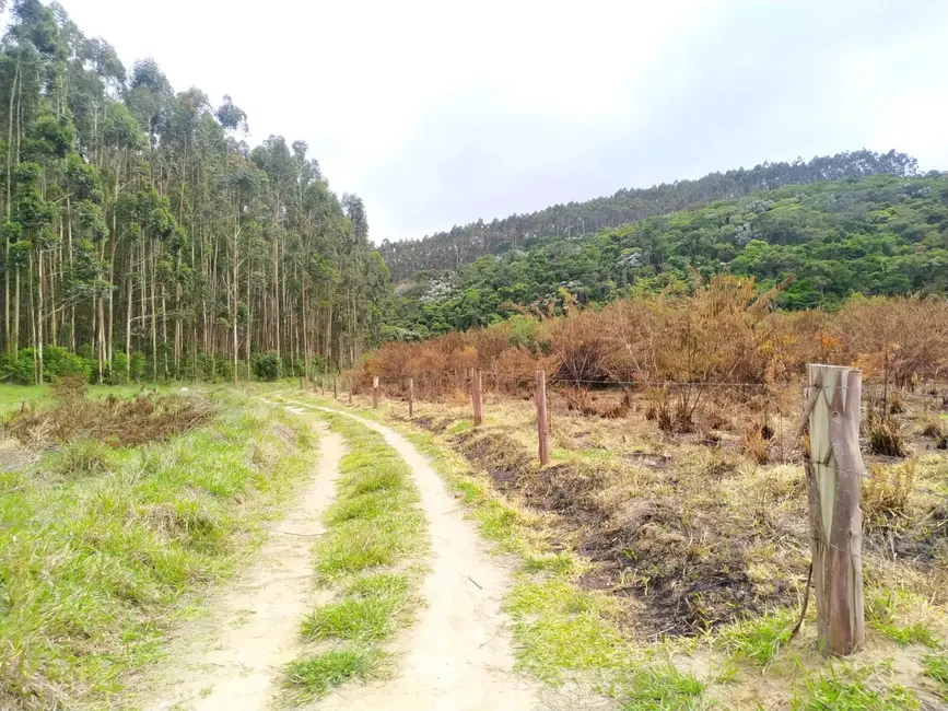 Chácara à venda, 1700000m2 em Centro, Sao Luiz Do Paraitinga - SP - imagem 6 Foto 6 de Chácara à venda, 1700000m2 em Centro, Sao Luiz Do Paraitinga - SP