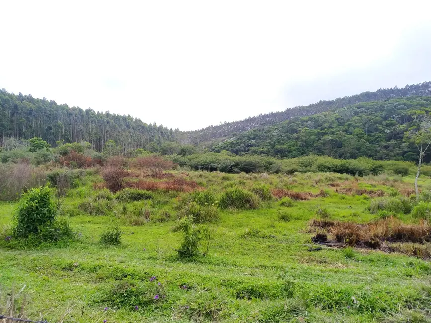 Chácara à venda, 1700000m2 em Centro, Sao Luiz Do Paraitinga - SP - imagem 5 Foto 5 de Chácara à venda, 1700000m2 em Centro, Sao Luiz Do Paraitinga - SP