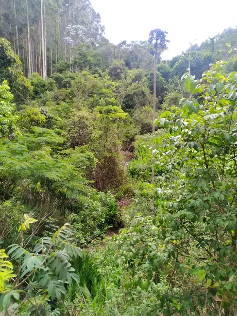 Chácara à venda, 1700000m2 em Centro, Sao Luiz Do Paraitinga - SP - imagem 9 Foto 9 de Chácara à venda, 1700000m2 em Centro, Sao Luiz Do Paraitinga - SP