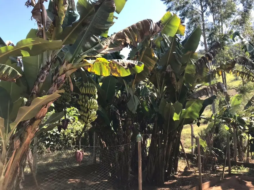 Foto 1 de Chácara com 4 quartos à venda em Santa Luzia Rural, Taubate - SP