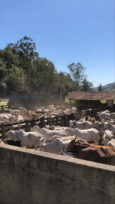 Foto 5 de Chácara com 3 quartos à venda, 4840000m2 em Lagoinha - SP