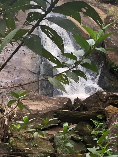 Foto 9 de Chácara com 1 quarto à venda, 30000m2 em Pindamonhangaba - SP