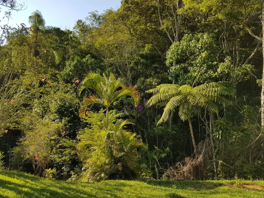 Foto 5 de Chácara com 1 quarto à venda, 30000m2 em Pindamonhangaba - SP