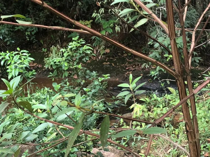 Foto 7 de Chácara com 1 quarto à venda, 30000m2 em Pindamonhangaba - SP