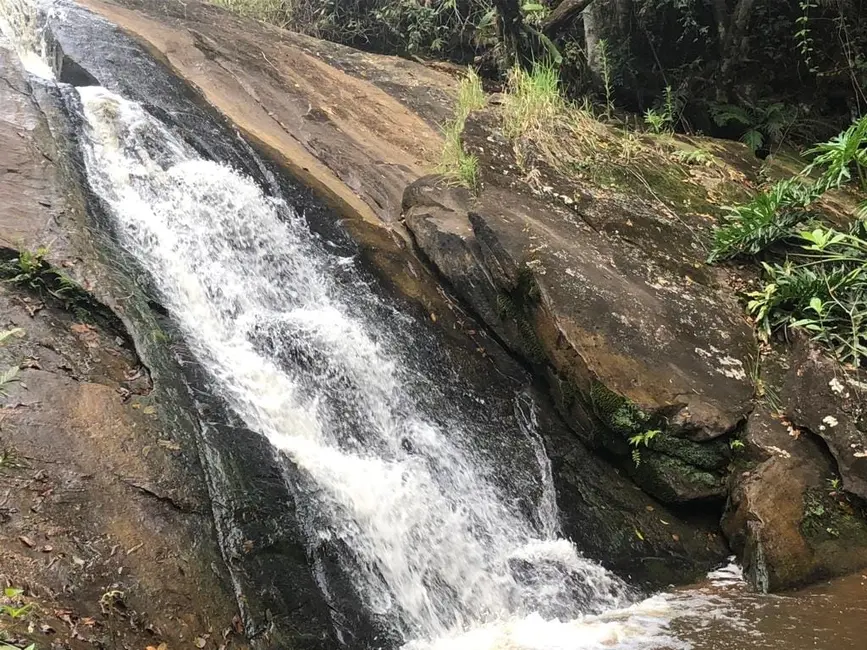 Foto 8 de Chácara com 1 quarto à venda, 30000m2 em Pindamonhangaba - SP
