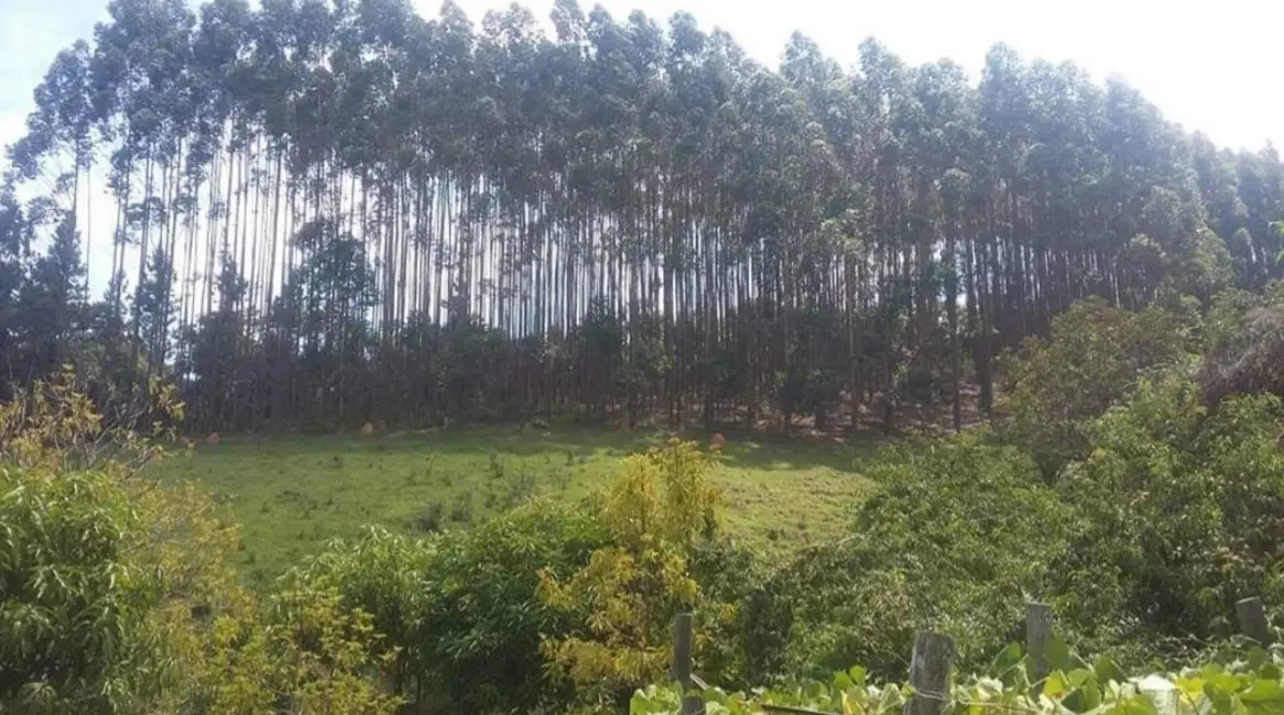 Foto 9 de Chácara com 4 quartos à venda, 1452000m2 em Salesopolis - SP