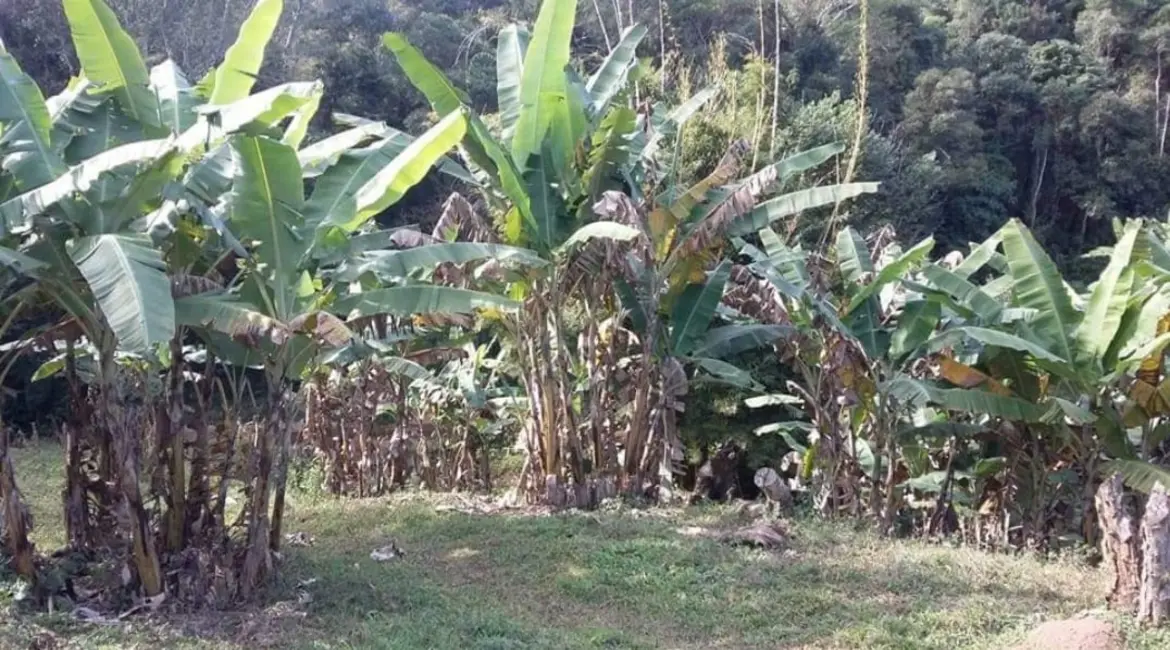 Foto 1 de Chácara com 4 quartos à venda, 1452000m2 em Salesopolis - SP