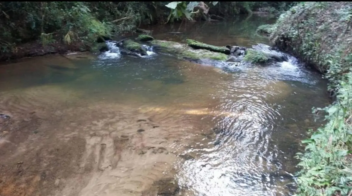 Foto 7 de Chácara com 4 quartos à venda, 1452000m2 em Salesopolis - SP