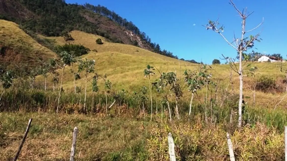 Foto 30 de Chácara à venda em Cruzeiro - SP