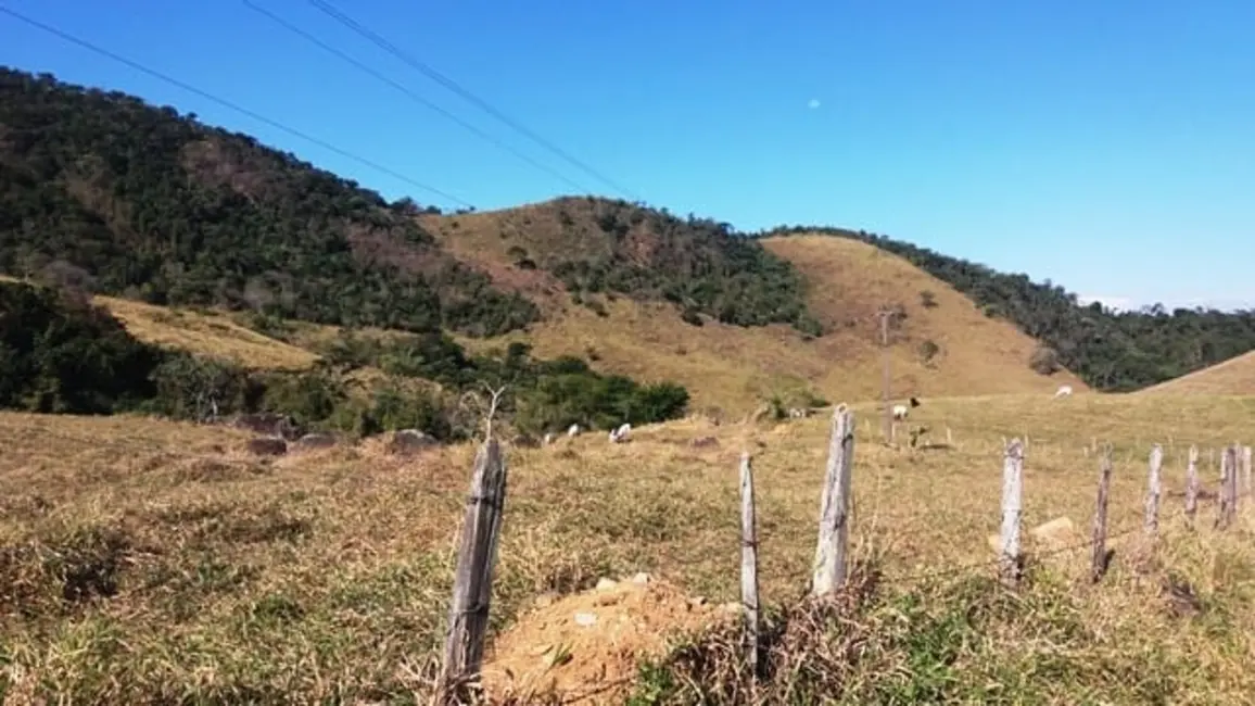 Foto 28 de Chácara à venda em Cruzeiro - SP