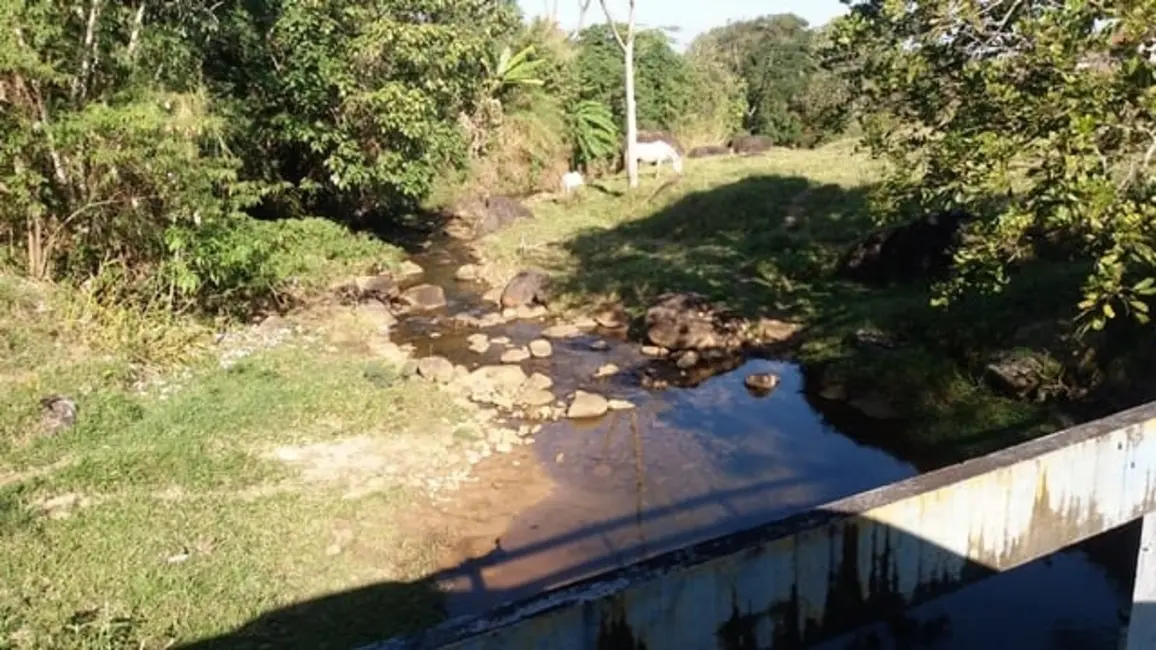 Foto 2 de Chácara à venda em Cruzeiro - SP