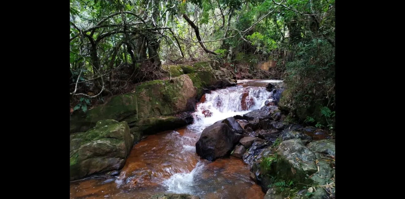 Foto 9 de Chácara com 3 quartos à venda, 488000m2 em Monteiro Lobato - SP