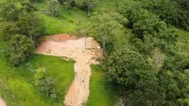 Imagem 15