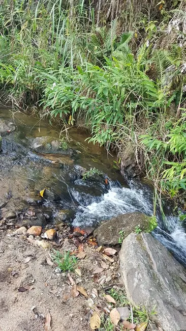 Foto 2 de Sítio / Rancho com 1 quarto à venda, 110000m2 em Pindamonhangaba - SP