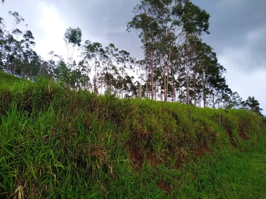 Foto 4 de Chácara à venda, 30000m2 em Silveiras - SP