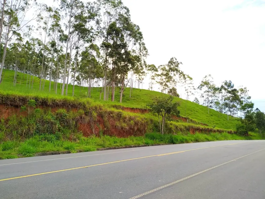Foto 5 de Chácara à venda, 30000m2 em Silveiras - SP
