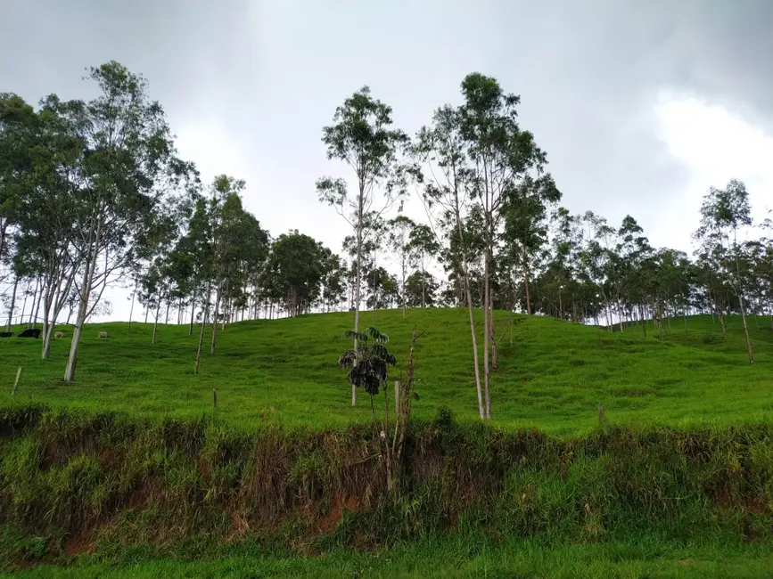 Foto 7 de Chácara à venda, 30000m2 em Silveiras - SP
