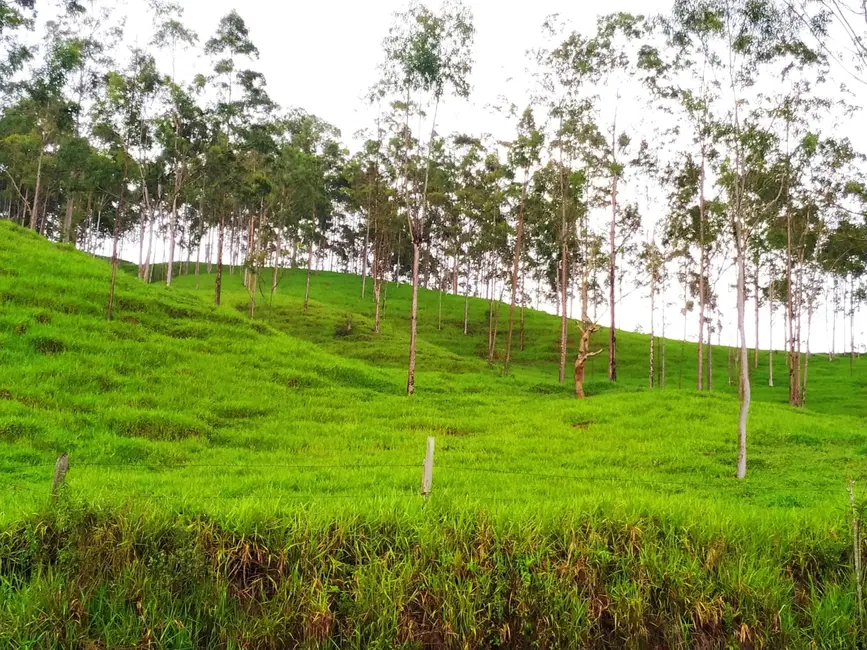Foto 2 de Chácara à venda, 30000m2 em Silveiras - SP