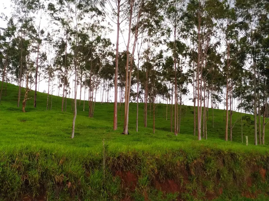 Foto 6 de Chácara à venda, 30000m2 em Silveiras - SP