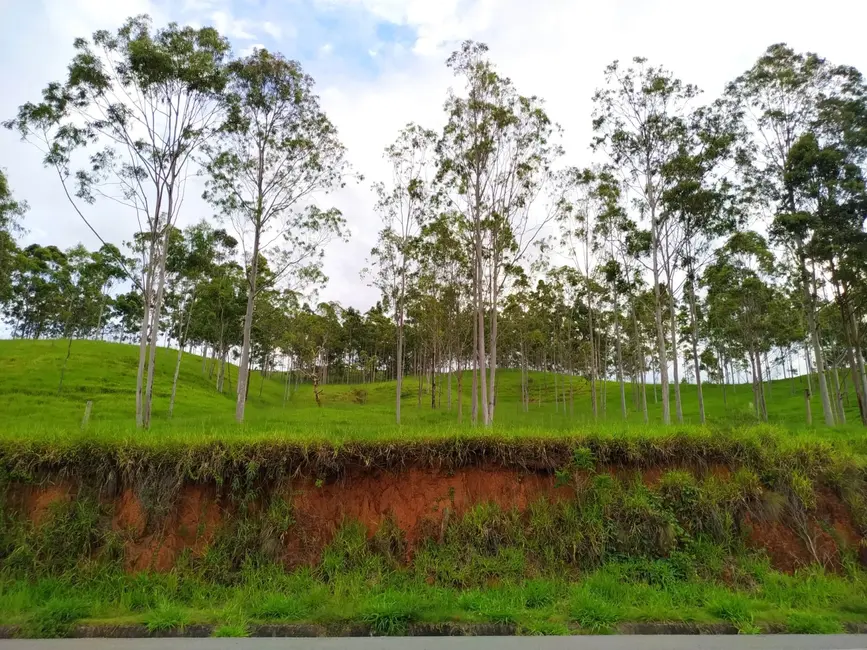 Foto 1 de Chácara à venda, 30000m2 em Silveiras - SP