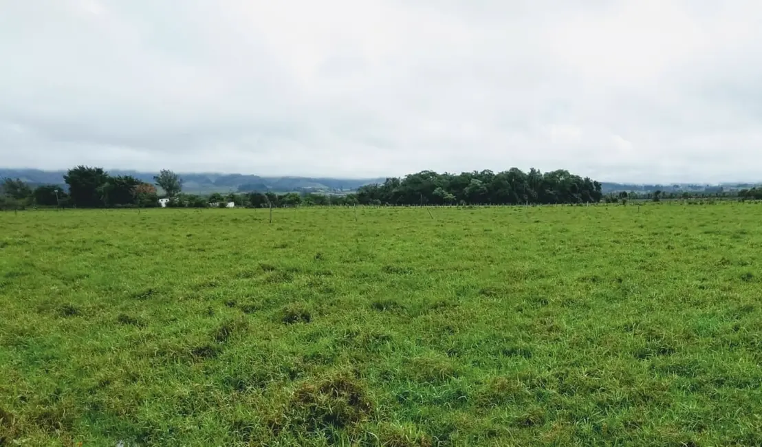 Foto 1 de Chácara à venda, 20000m2 em Cruz Pequena, Pindamonhangaba - SP