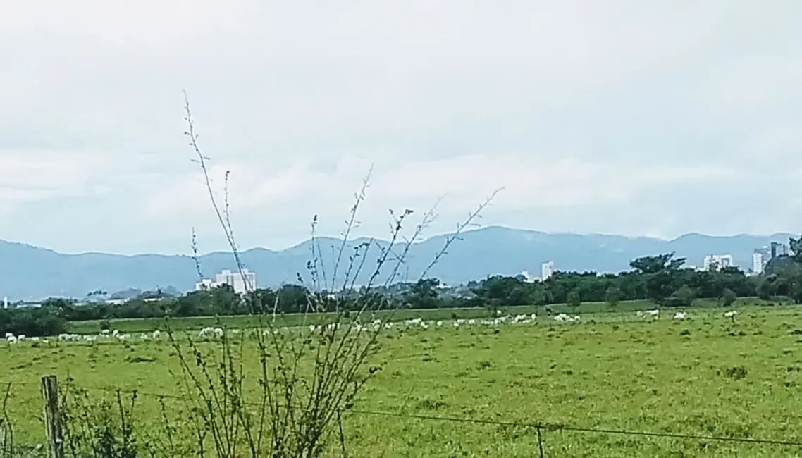 Foto 3 de Chácara à venda, 20000m2 em Cruz Pequena, Pindamonhangaba - SP