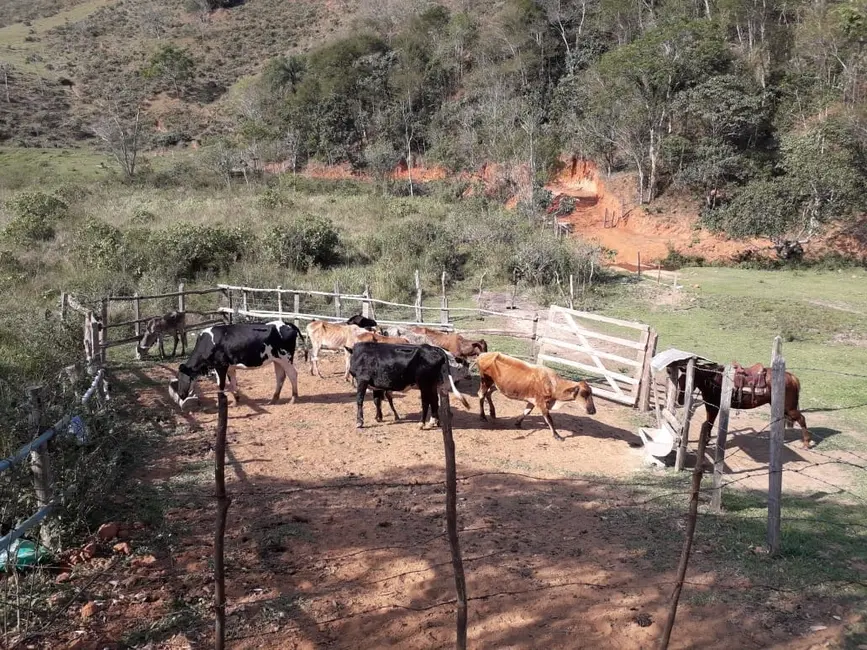 Foto 7 de Chácara à venda e para alugar, 840000m2 em Mandú, Pindamonhangaba - SP