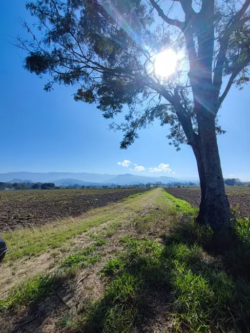 Chácara à venda, 24500m2 em Bom Sucesso, Pindamonhangaba - SP - imagem 3 Foto 3 de Chácara à venda, 24500m2 em Bom Sucesso, Pindamonhangaba - SP