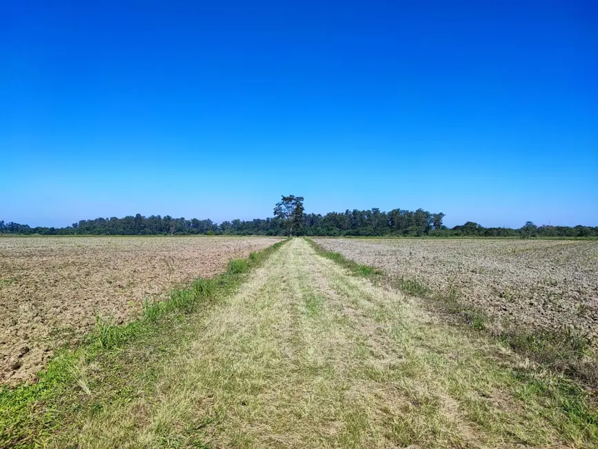 Foto 10 de Chácara à venda, 24500m2 em Bom Sucesso, Pindamonhangaba - SP