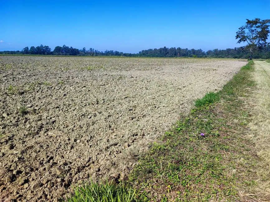 Chácara à venda, 24500m2 em Bom Sucesso, Pindamonhangaba - SP - imagem 8 Foto 8 de Chácara à venda, 24500m2 em Bom Sucesso, Pindamonhangaba - SP