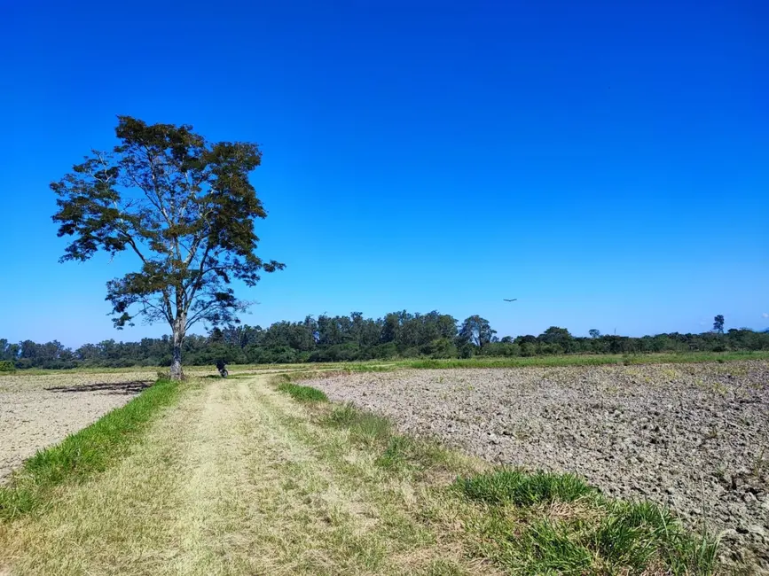 Chácara à venda, 24500m2 em Bom Sucesso, Pindamonhangaba - SP - imagem 9 Foto 9 de Chácara à venda, 24500m2 em Bom Sucesso, Pindamonhangaba - SP