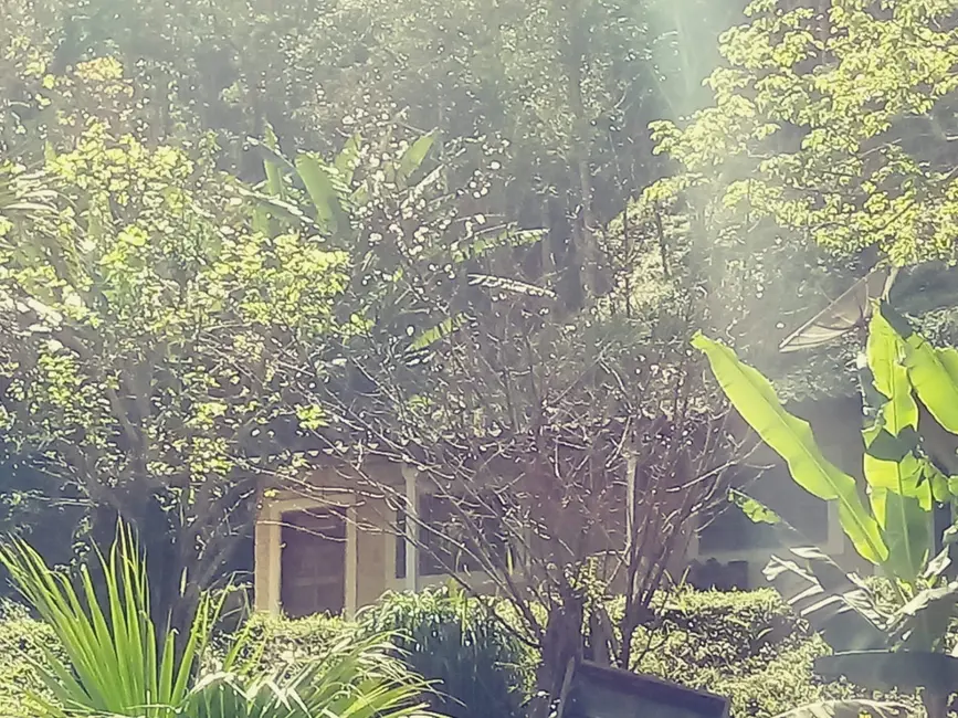 Foto 9 de Chácara com 2 quartos à venda, 26000m2 em Campinas, Pindamonhangaba - SP