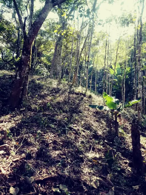 Foto 3 de Chácara com 2 quartos à venda, 26000m2 em Campinas, Pindamonhangaba - SP