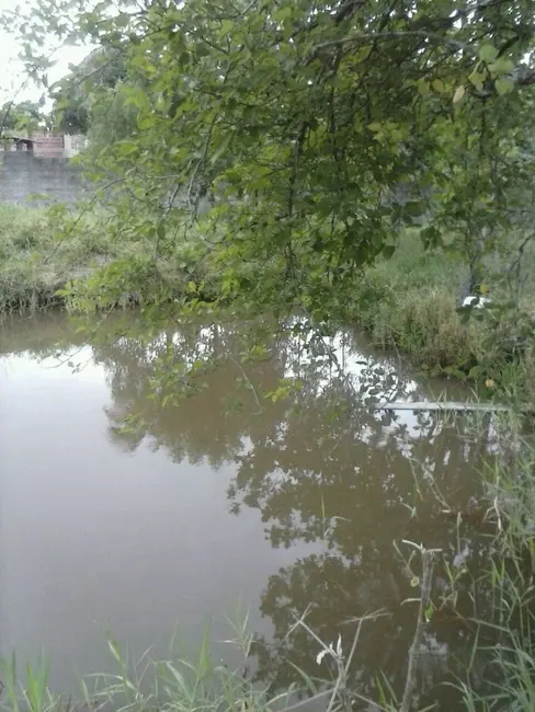 Chácara com 2 quartos à venda em Guaratingueta - SP - imagem 3 Foto 3 de Chácara com 2 quartos à venda em Guaratingueta - SP