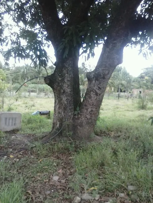 Foto 9 de Chácara com 2 quartos à venda em Guaratingueta - SP