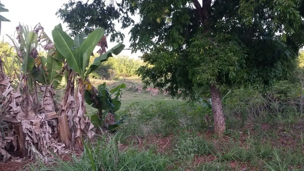 Foto 2 de Chácara à venda em Granjas Rurais Reunidas São Judas Tadeu, Taubate - SP