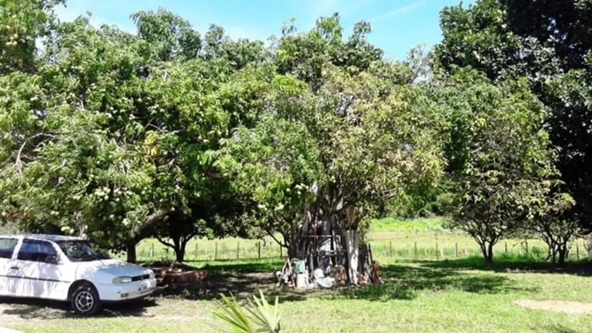 Foto 8 de Chácara com 3 quartos à venda, 250m2 em Goiabal, Pindamonhangaba - SP