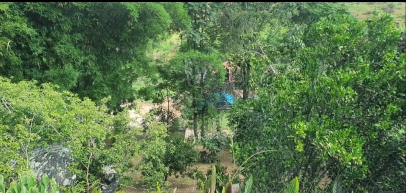 Sítio / Rancho com 3 quartos à venda, 96800m2 em Sao Luiz Do Paraitinga - SP - imagem 8 Foto 8 de Sítio / Rancho com 3 quartos à venda, 96800m2 em Sao Luiz Do Paraitinga - SP